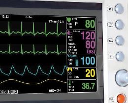 Bionet BM3vet interface