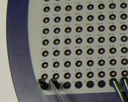 Brain Products quickamp
