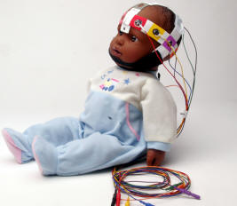 baby brainet template
