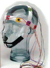 BraiNet EEG Template